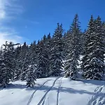 Alpinresort 1 By Interhome *