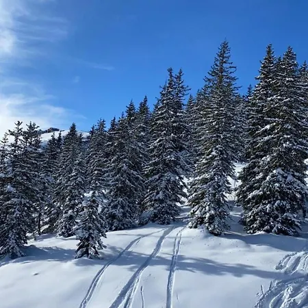 Alpinresort 1 By Interhome *