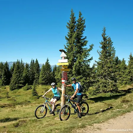 Alpinresort 1 By Interhome Kaprun